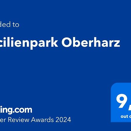 Cecilienpark Oberharz Villa Goslar Bagian luar foto