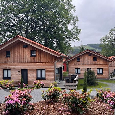 Cecilienpark Oberharz Villa Goslar Bagian luar foto