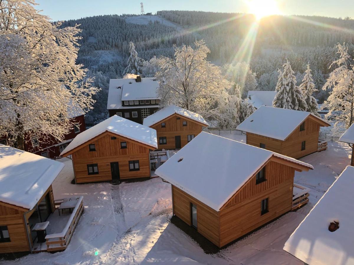 Cecilienpark Oberharz Villa Goslar Bagian luar foto