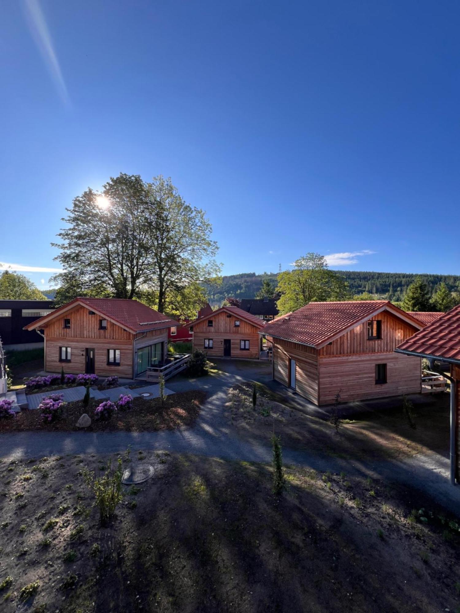 Cecilienpark Oberharz Villa Goslar Bagian luar foto