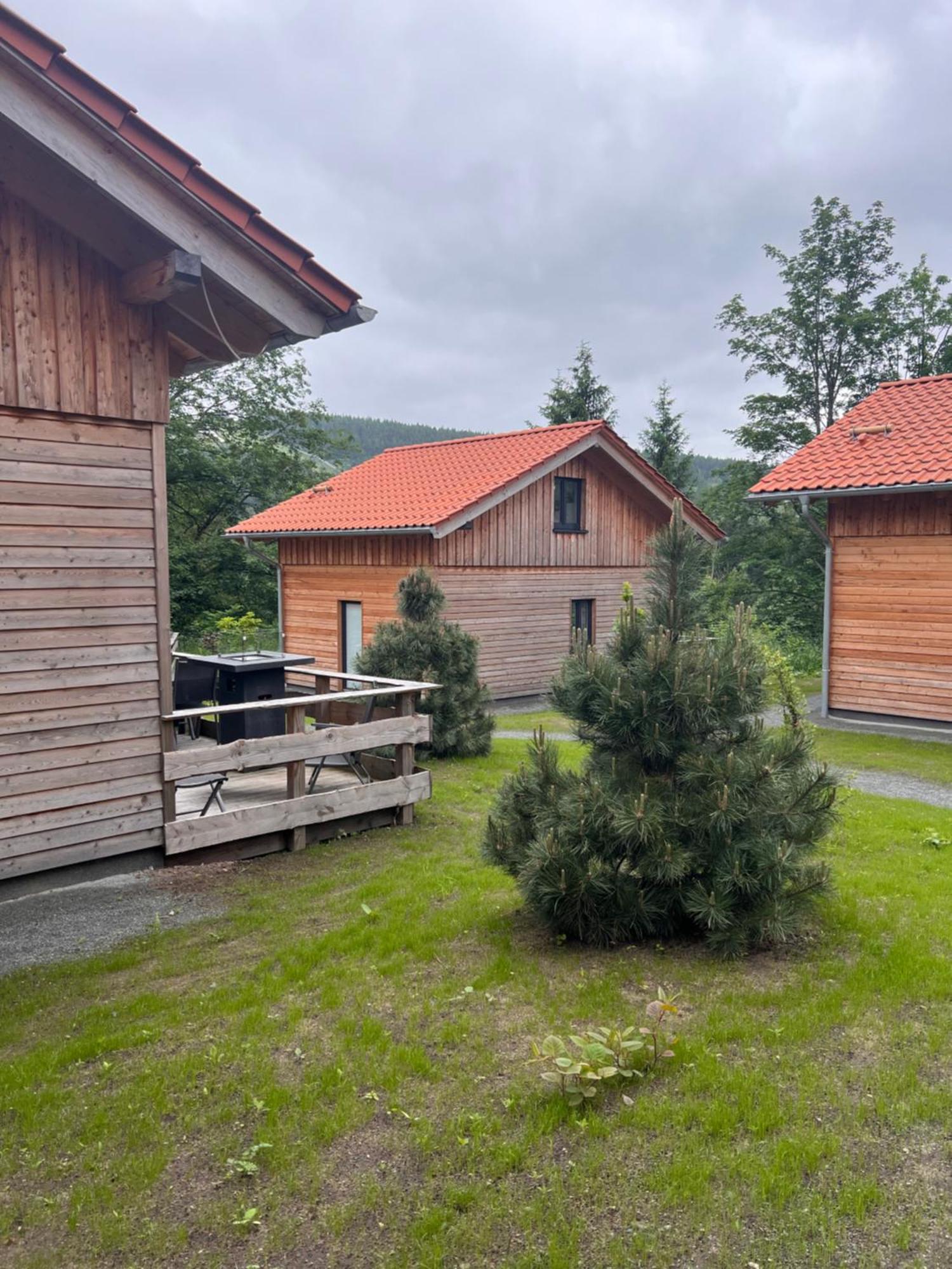 Cecilienpark Oberharz Villa Goslar Bagian luar foto