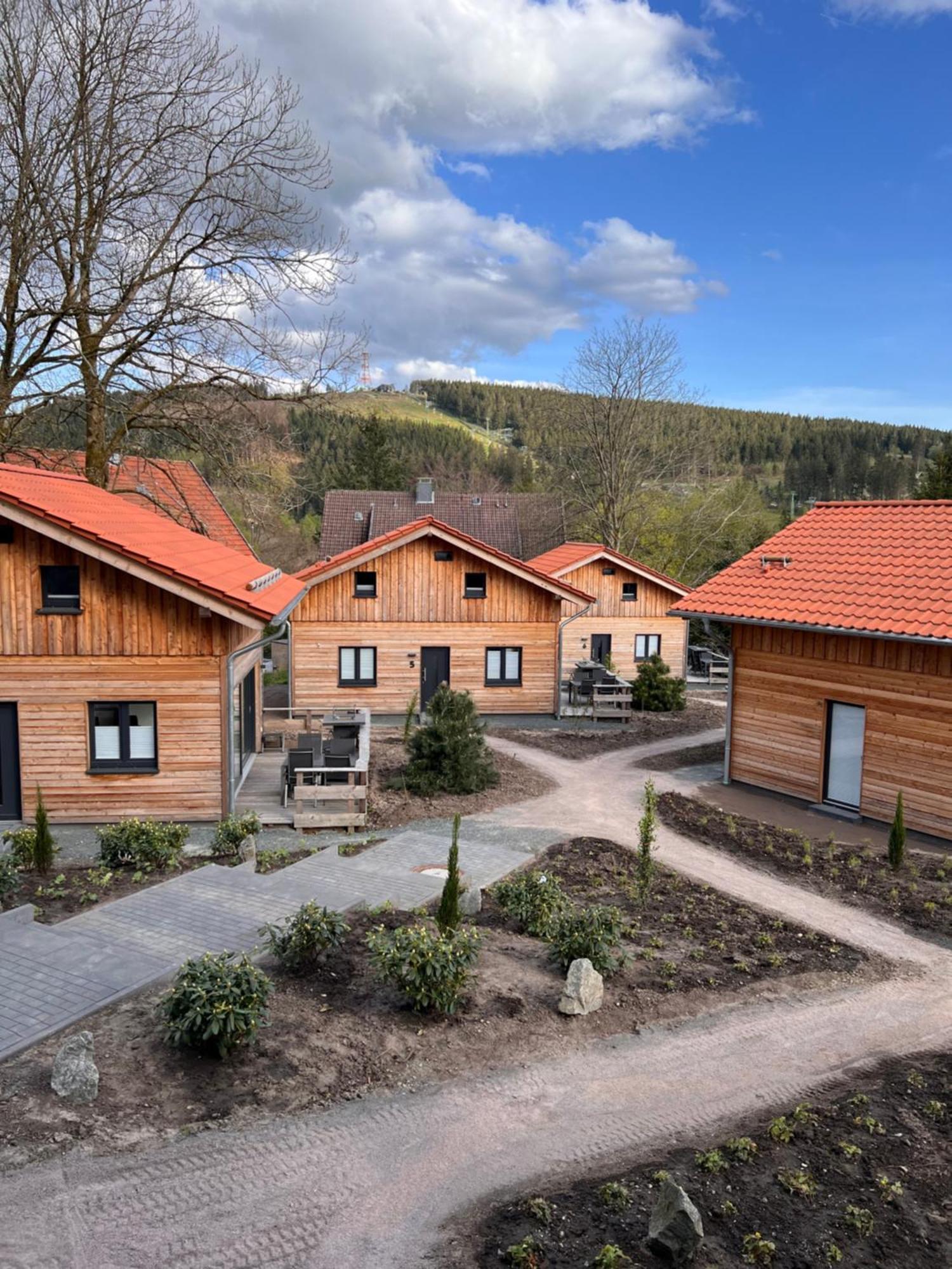 Cecilienpark Oberharz Villa Goslar Bagian luar foto